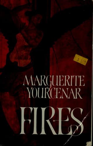 Cover image for Fires