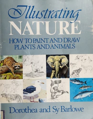 Cover image for Illustrating Nature