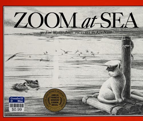 Cover image for Zoom at sea