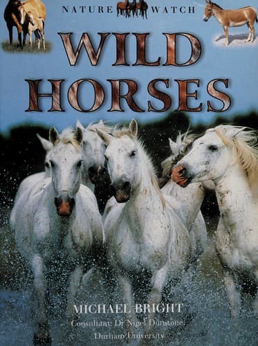 Cover image for Wild Horses