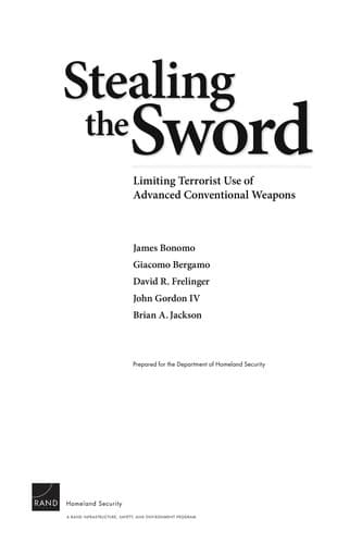 Cover image for Stealing the sword
