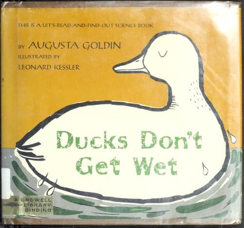 Cover image for Ducks don't get wet