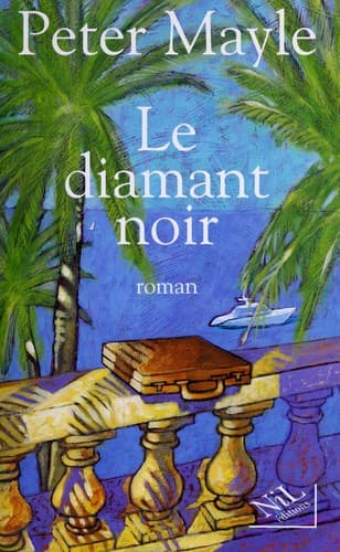 Cover image for Le Diamant noir