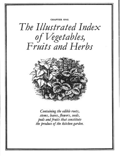 Cover image for The self-sufficient gardener