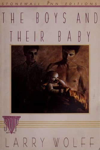Cover image for The boys and their baby