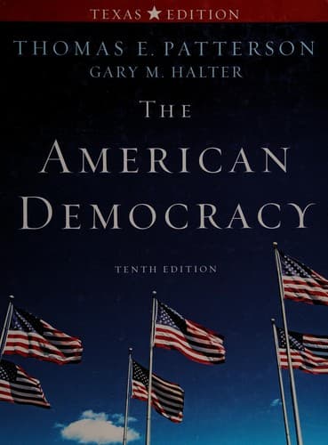 Cover image for The American democracy