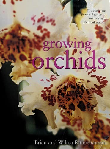 Cover image for Growing Orchids