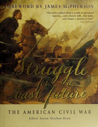 Cover image for Struggle for a vast future