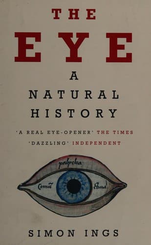 Cover image for The eye