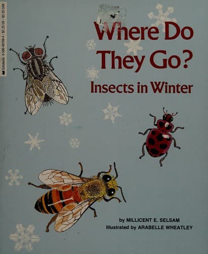 Cover image for Where Do They Go