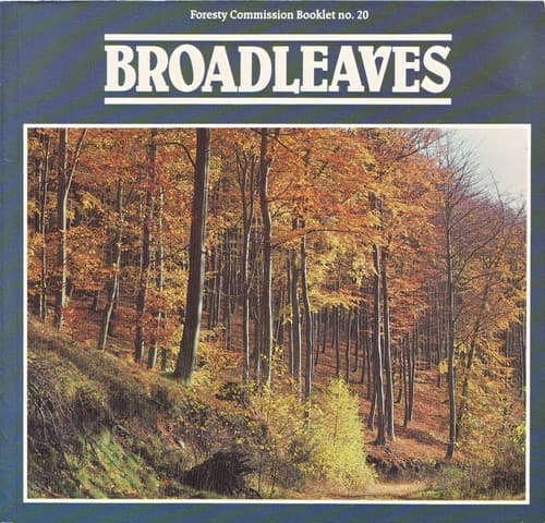Cover image for Broadleaves