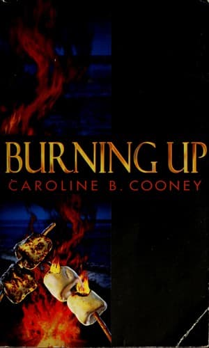 Cover image for Burning up