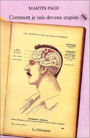 Cover image for Comment je suis devenu stupide