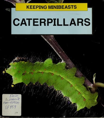 Cover image for Caterpillars (Keeping Minibeasts)
