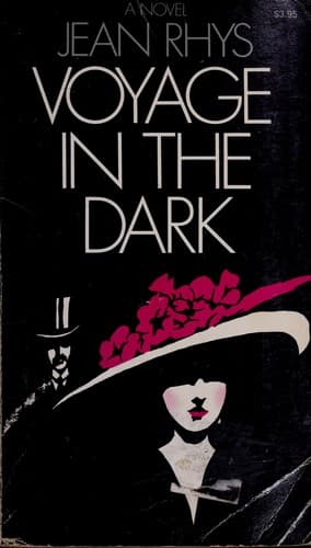 Cover image for Voyage in the dark