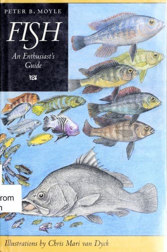 Cover image for Fish