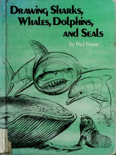 Cover image for Drawing sharks, whales, dolphins, and seals