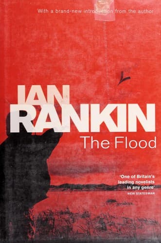 Cover image for The flood