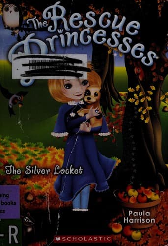 Cover image for The silver locket