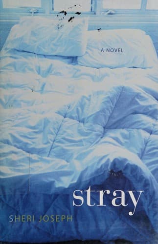 Cover image for Stray