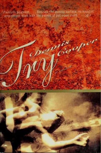 Cover image for Try