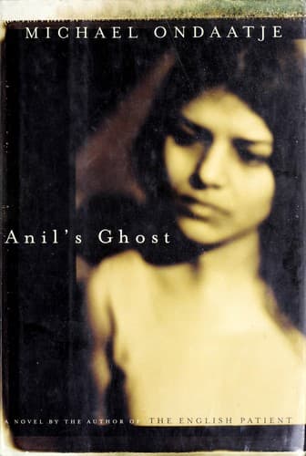 Cover image for Anil's ghost