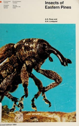 Cover image for Insects of eastern pines